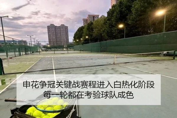 申花争冠关键战赛程进入白热化阶段 每一轮都在考验球队成色 | feifanyule